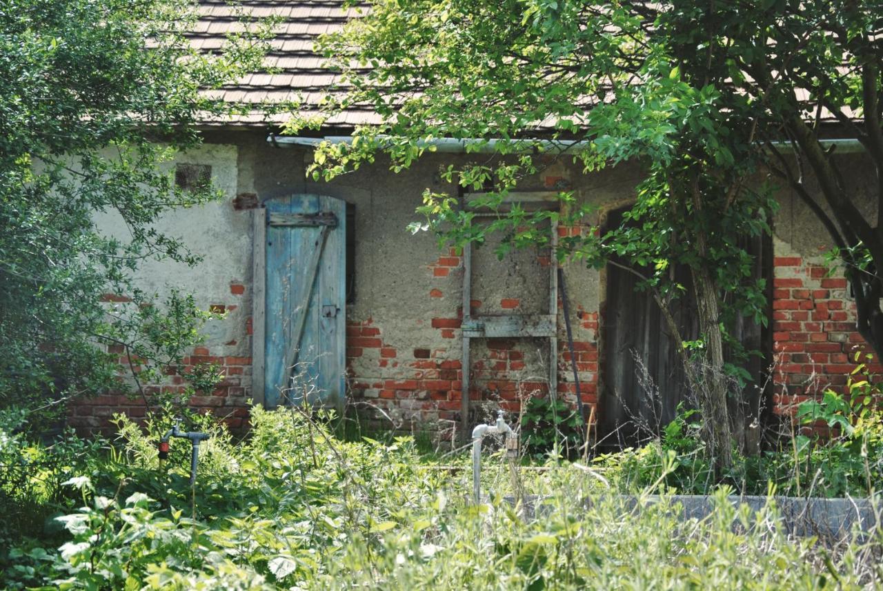 Ferienhaus Erna Doberlug-Kirchhain Extérieur photo